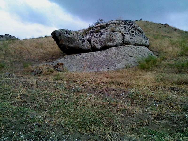 نشانه لاکپشت در گنج یابی