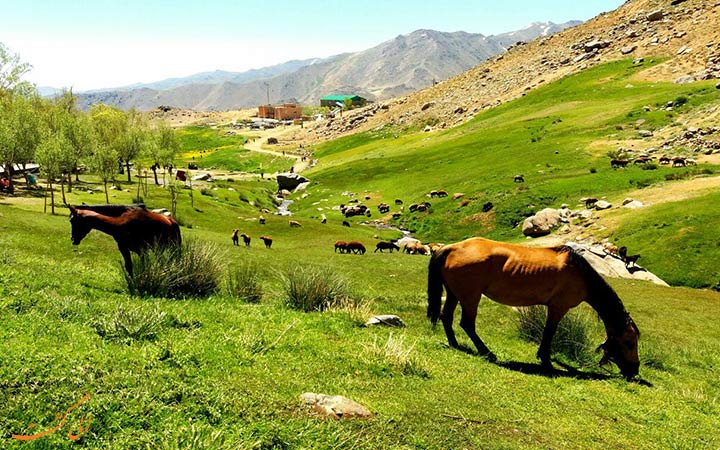 ۹۸ جای دیدنی ایران در سال ۹۸